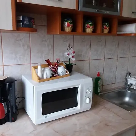 Apartment Apartament Brancoveanu Bucharest